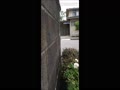 TimeVideo_20250529_122347.mp4 TimeVideo_20250529_122347.mp4