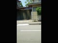 TimeVideo_20250723_111236.mp4 TimeVideo_20250723_111236.mp4